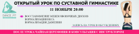 Баннер