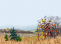 К.Д. Ушинский. История одной яблоньки