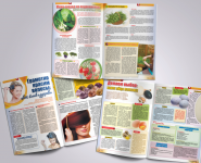 Верстка журнала