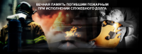 Баннер1(пример)