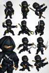 Ninja black suit