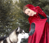 Работа 2974246