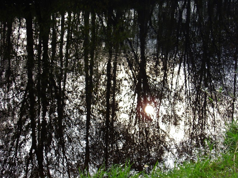 pic1762924.jpg