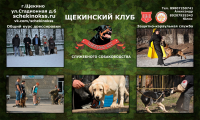 Работа 2960309