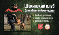 Работа 2960308