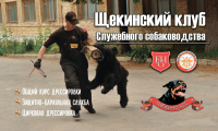 Работа 2960307