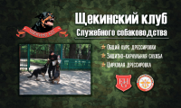 Работа 2960303