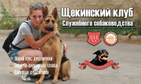 Работа 2960301