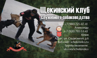 Работа 2960284