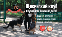 Работа 2960283