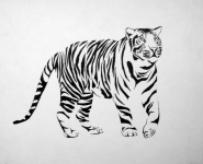 Тигр