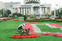 Работа 2953816