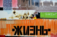 Работа 2577213