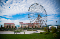 Работа 2962399