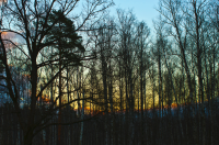 Весенний вечер