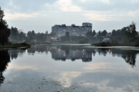 Пруд в сумерках