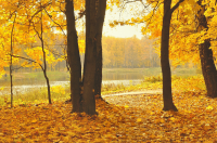 Осенний парк