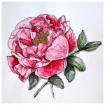Peony