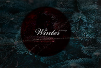 зимняя композиция