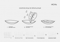 Календарь "Выжить любой ценой"
