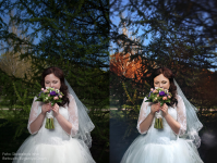 Свадебное фото