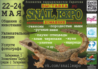 Дизайн афиши для выставки