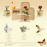 D&G Florist
