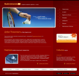 badmintonist