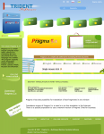 pragma