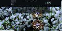 дизайн сайта