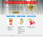 Верстка лендинга под мобильные платформы