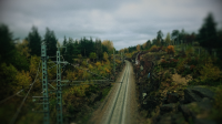 Железная дорога и лес.