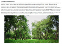 Блог о свадьбе