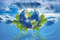 Макет обклейки авто