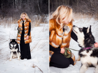 Работа 2912253