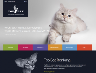 Система рейтинга породистых кошек TopCat