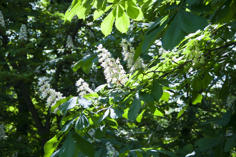 pic2819293.jpg