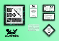 Раздаточная продукция для мастерской "Salamandra"