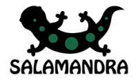 Мастерская "Salamandra"