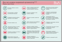 Инфографика для свадебной студии