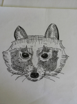 Raccoon