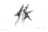 Графика 01