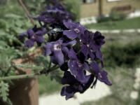 Работа 2924011