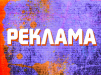 Работа 2203807