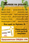 Flier