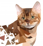 Портрет кота