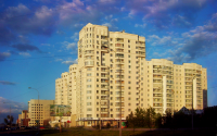 Работа 959704
