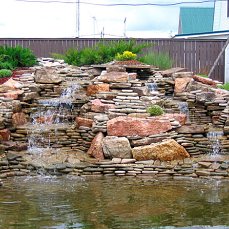 pic2931261.jpg