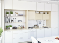 Kitchen viz3