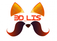 3d_lis